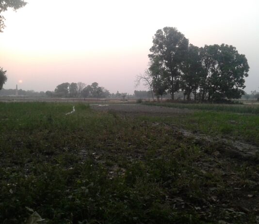 य एषु सुप्तेषु जागर्ति